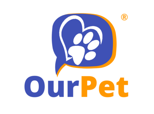 Conheça o App Animal OurPet
